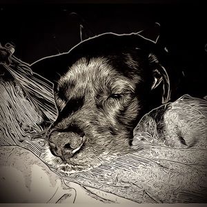 Meet your Posher, Raymond